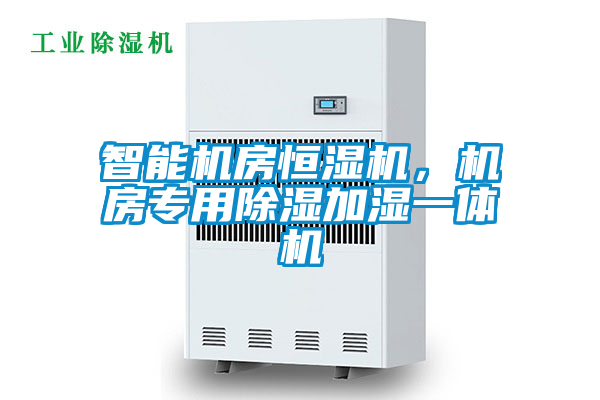 智能機房恒濕機，機房專用除濕加濕一體機