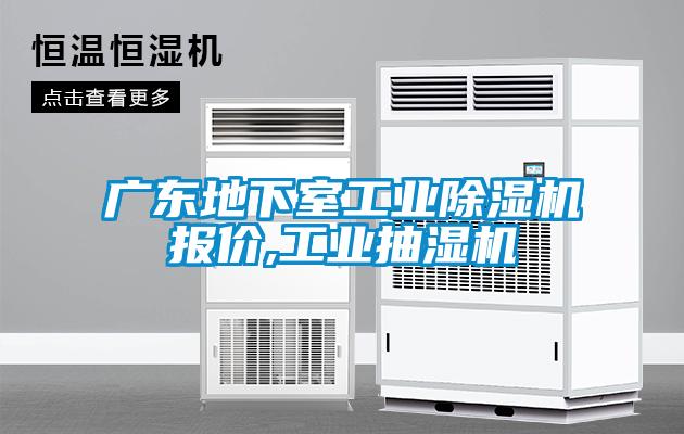 廣東地下室工業(yè)除濕機(jī)報價,工業(yè)抽濕機(jī)