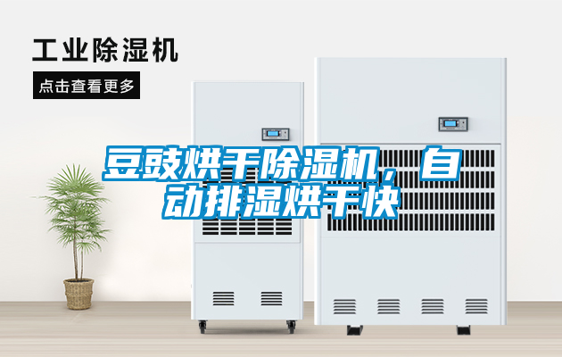 豆豉烘干除濕機(jī)，自動排濕烘干快