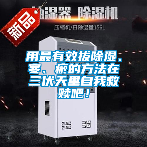 用最有效拔除濕、寒、瘀的方法在三伏天里自我救贖吧！