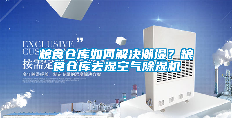 糧食倉庫如何解決潮濕？糧食倉庫去濕空氣除濕機