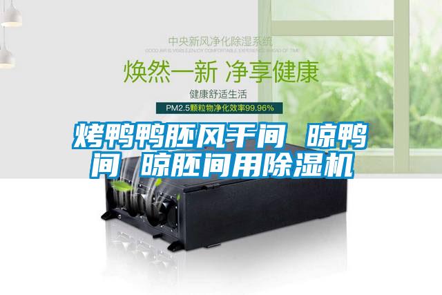 烤鴨鴨胚風(fēng)干間 晾鴨間 晾胚間用除濕機