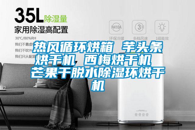 熱風(fēng)循環(huán)烘箱 芋頭條烘干機 西梅烘干機 芒果干脫水除濕環(huán)烘干機