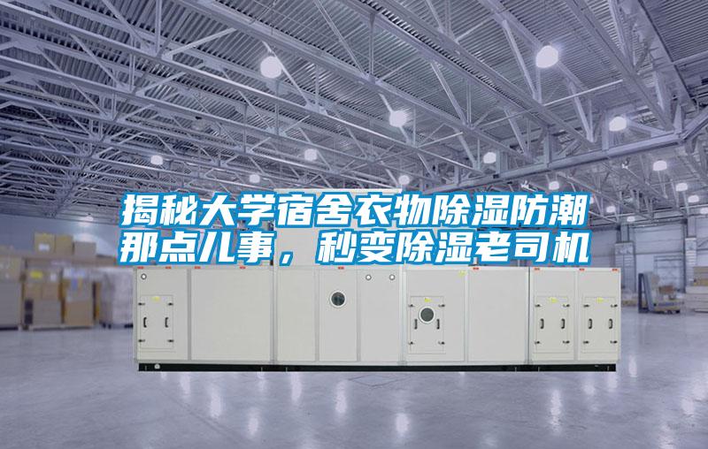 揭秘大學(xué)宿舍衣物除濕防潮那點兒事，秒變除濕老司機
