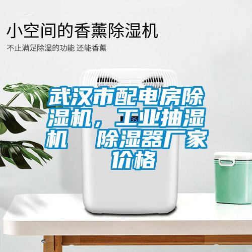 武漢市配電房除濕機，工業(yè)抽濕機  除濕器廠家 價格