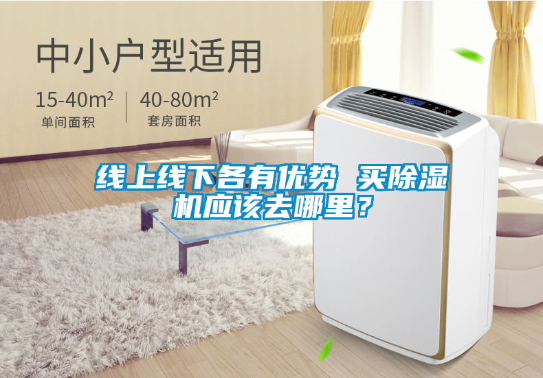 線上線下各有優(yōu)勢(shì) 買除濕機(jī)應(yīng)該去哪里？