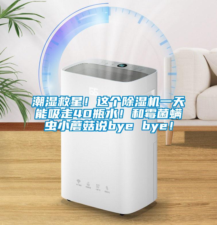 潮濕救星！這個(gè)除濕機(jī)一天能吸走40瓶水！和霉菌螨蟲小蘑菇說bye bye！