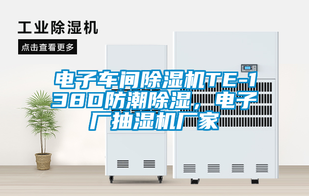電子車間除濕機(jī)TE-138D防潮除濕，電子廠抽濕機(jī)廠家