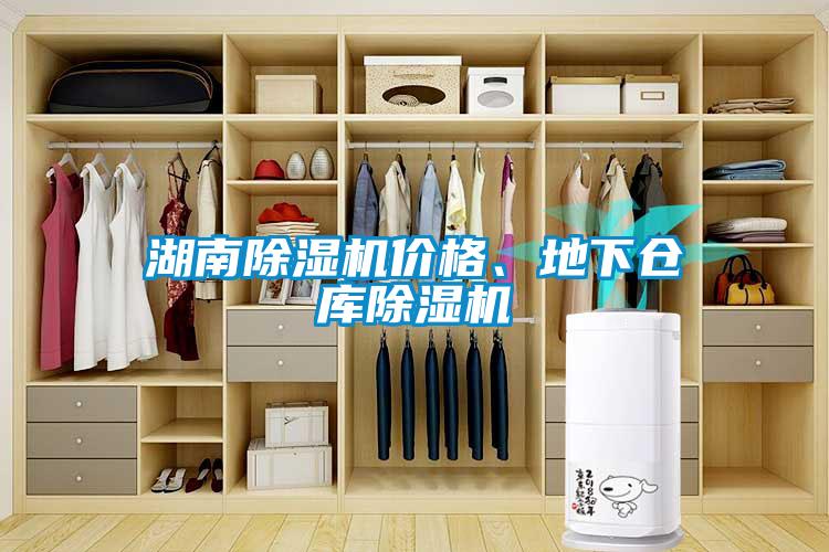 湖南除濕機(jī)價格、地下倉庫除濕機(jī)