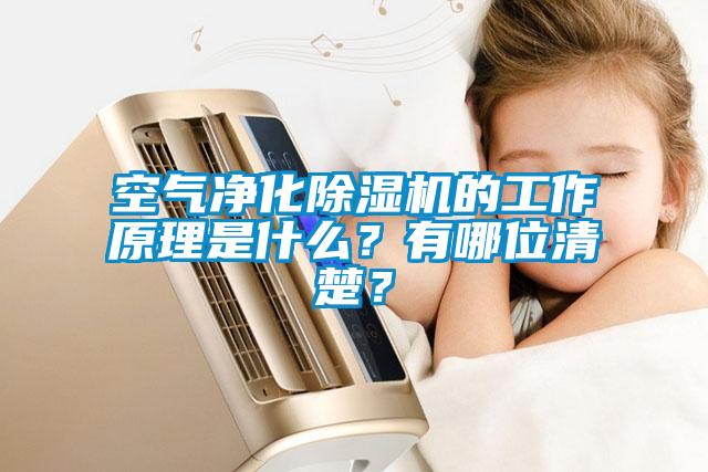 空氣凈化除濕機(jī)的工作原理是什么？有哪位清楚？
