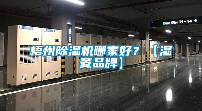 梧州除濕機(jī)哪家好？【濕菱品牌】