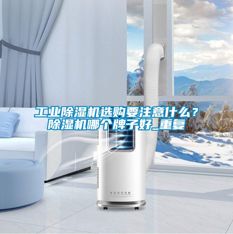 工業(yè)除濕機選購要注意什么？除濕機哪個牌子好_重復(fù)