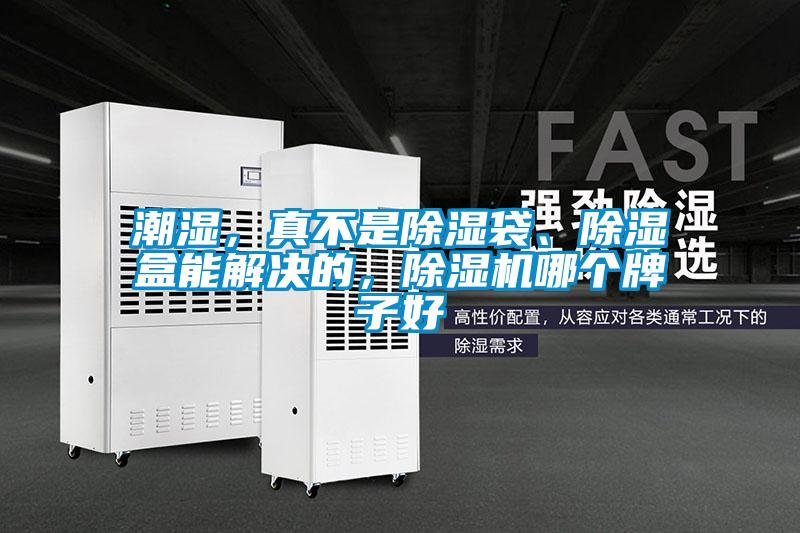 潮濕，真不是除濕袋、除濕盒能解決的，除濕機(jī)哪個(gè)牌子好