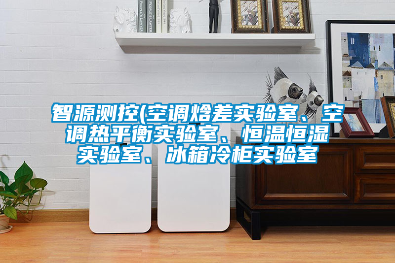 智源測控(空調(diào)焓差實驗室、空調(diào)熱平衡實驗室、恒溫恒濕實驗室、冰箱冷柜實驗室