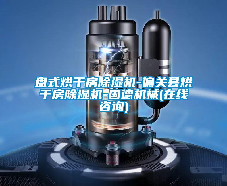 盤式烘干房除濕機(jī)-偏關(guān)縣烘干房除濕機(jī)-國(guó)德機(jī)械(在線咨詢)