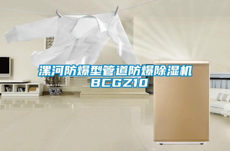 漯河防爆型管道防爆除濕機 BCGZ10