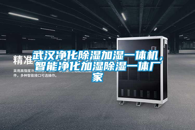 武漢凈化除濕加濕一體機，智能凈化加濕除濕一體廠家