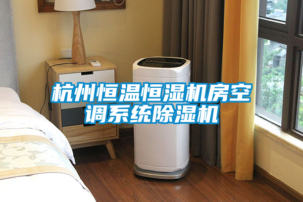 杭州恒溫恒濕機(jī)房空調(diào)系統(tǒng)除濕機(jī)