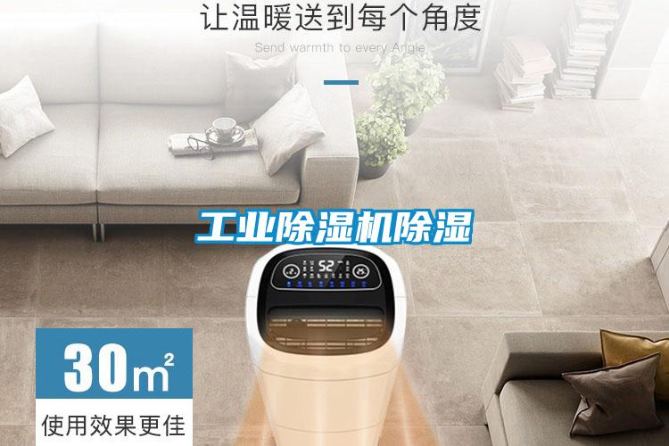 工業(yè)除濕機除濕
