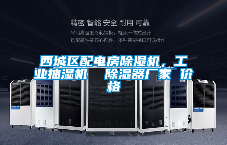 西城區(qū)配電房除濕機(jī)，工業(yè)抽濕機(jī)  除濕器廠家 價(jià)格