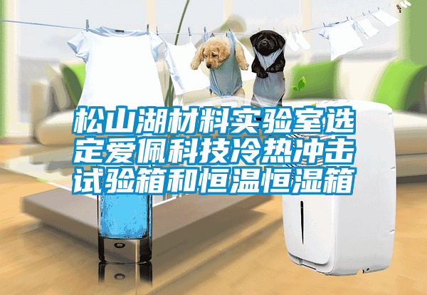 松山湖材料實(shí)驗(yàn)室選定愛(ài)佩科技冷熱沖擊試驗(yàn)箱和恒溫恒濕箱