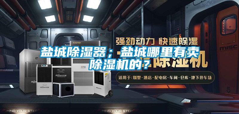 鹽城除濕器；鹽城哪里有賣除濕機(jī)的？