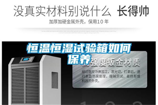 恒溫恒濕試驗箱如何保養(yǎng)