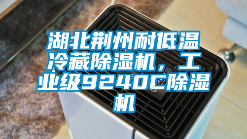 湖北荊州耐低溫冷藏除濕機(jī)，工業(yè)級(jí)9240C除濕機(jī)