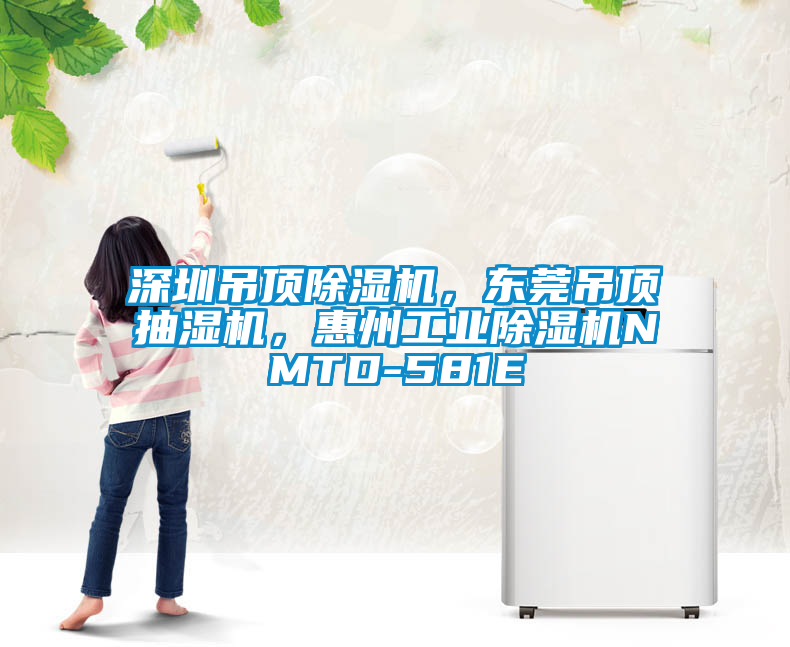 深圳吊頂除濕機，東莞吊頂抽濕機，惠州工業(yè)除濕機NMTD-581E
