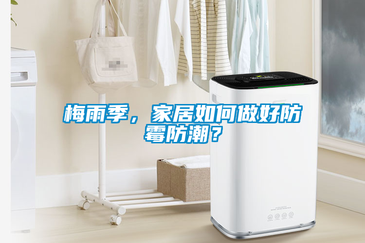 梅雨季，家居如何做好防霉防潮？