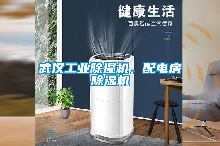 武漢工業(yè)除濕機(jī)，配電房除濕機(jī)