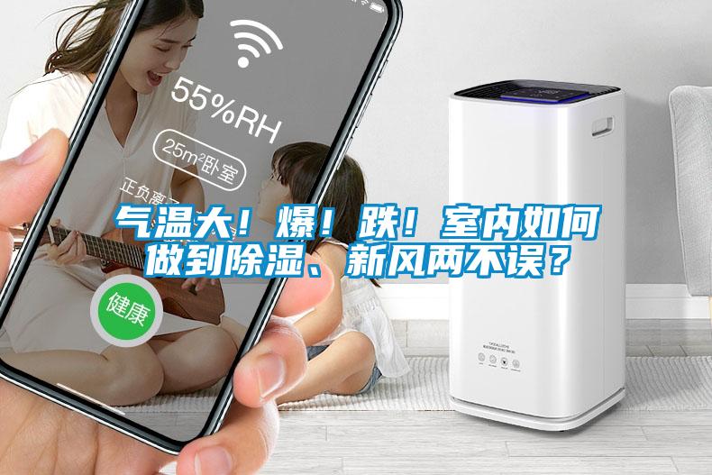 氣溫大！爆！跌！室內(nèi)如何做到除濕、新風(fēng)兩不誤？