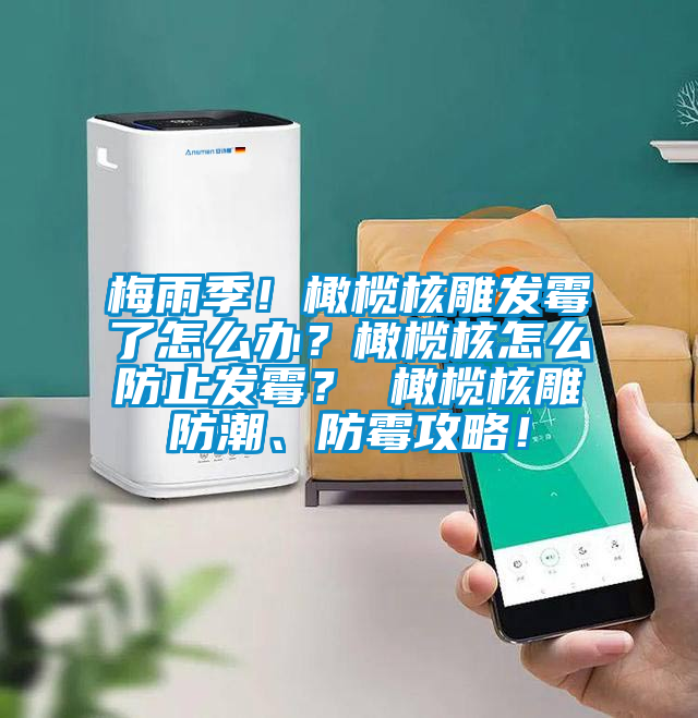 梅雨季！橄欖核雕發(fā)霉了怎么辦？橄欖核怎么防止發(fā)霉？ 橄欖核雕防潮、防霉攻略！