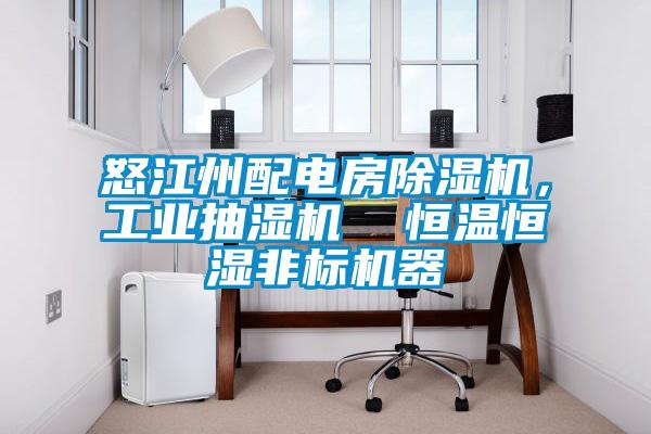 怒江州配電房除濕機(jī)，工業(yè)抽濕機(jī)  恒溫恒濕非標(biāo)機(jī)器