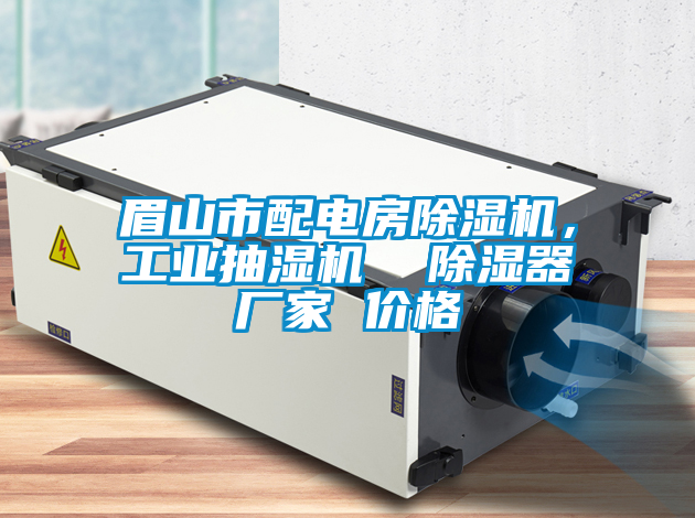 眉山市配電房除濕機(jī)，工業(yè)抽濕機(jī)  除濕器廠家 價(jià)格