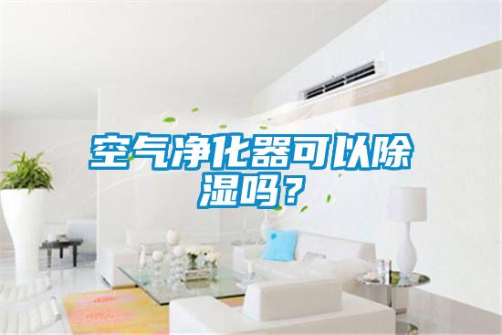 空氣凈化器可以除濕嗎？