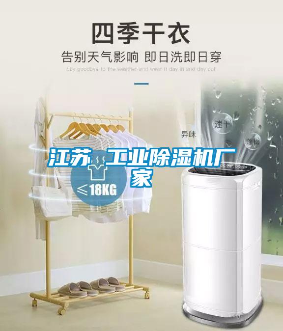 江蘇 工業(yè)除濕機(jī)廠家