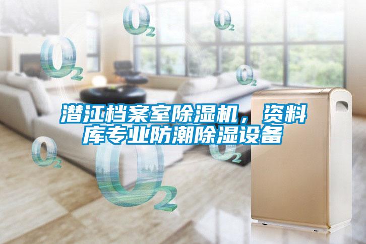 潛江檔案室除濕機，資料庫專業(yè)防潮除濕設(shè)備