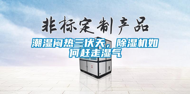 潮濕悶熱三伏天，除濕機(jī)如何趕走濕氣