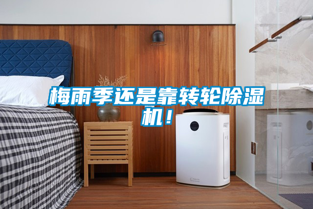 梅雨季還是靠轉(zhuǎn)輪除濕機！