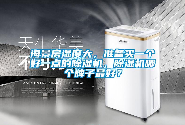 海景房濕度大，準(zhǔn)備買一個(gè)好一點(diǎn)的除濕機(jī)，除濕機(jī)哪個(gè)牌子最好？