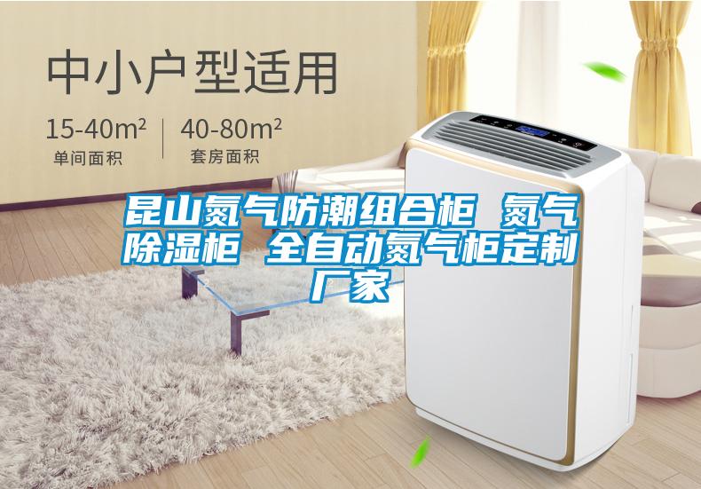 昆山氮?dú)夥莱苯M合柜 氮?dú)獬凉窆?全自動(dòng)氮?dú)夤穸ㄖ茝S家