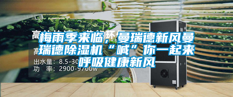 梅雨季來臨，曼瑞德新風(fēng)曼瑞德除濕機(jī)“喊”你一起來呼吸健康新風(fēng)