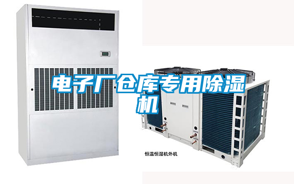 電子廠(chǎng)倉(cāng)庫(kù)專(zhuān)用除濕機(jī)