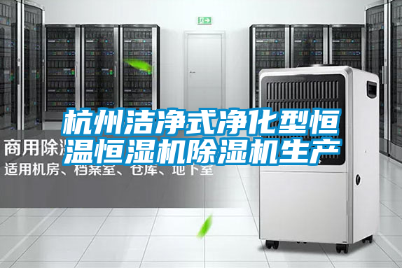 杭州潔凈式凈化型恒溫恒濕機(jī)除濕機(jī)生產(chǎn)