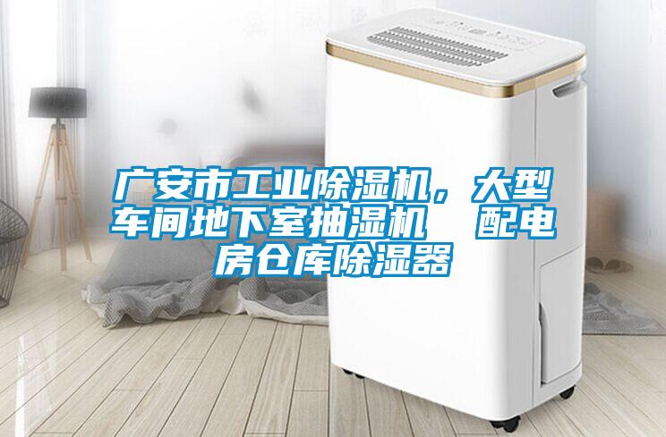 廣安市工業(yè)除濕機，大型車間地下室抽濕機  配電房倉庫除濕器
