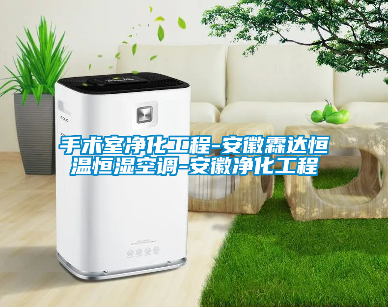 手術室凈化工程-安徽霖達恒溫恒濕空調(diào)-安徽凈化工程