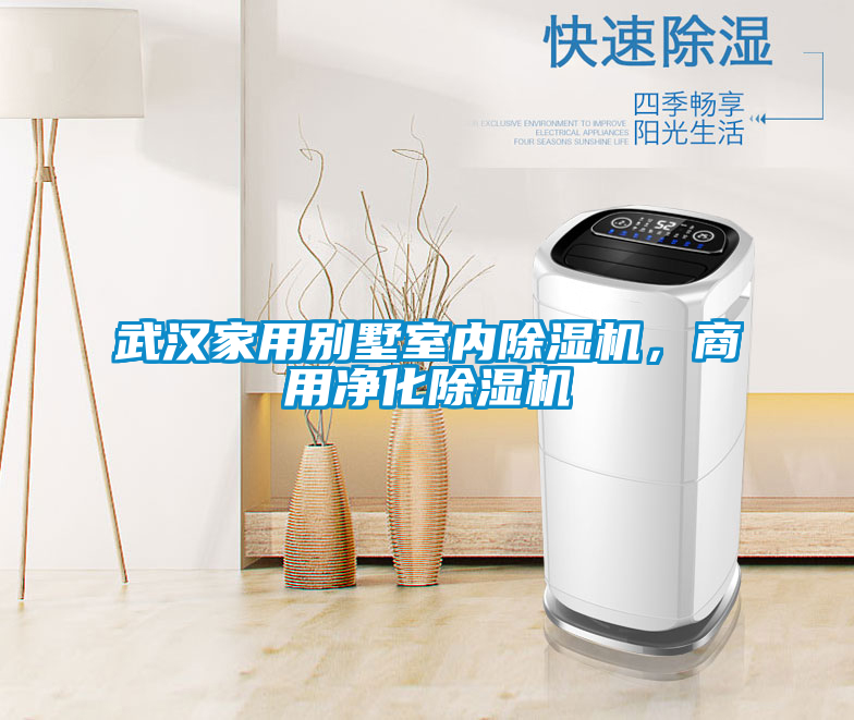 武漢家用別墅室內(nèi)除濕機，商用凈化除濕機