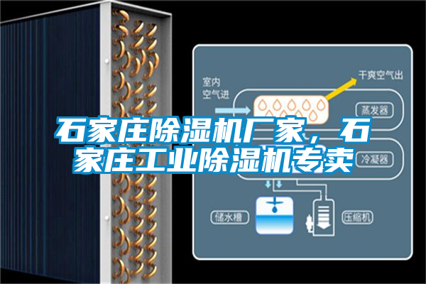 石家莊除濕機(jī)廠家，石家莊工業(yè)除濕機(jī)專賣
