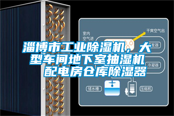 淄博市工業(yè)除濕機，大型車間地下室抽濕機  配電房倉庫除濕器